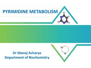 http://www.free-powerpoint-templates-design.com
PYRIMIDINE METABOLISM
Dr Manoj Acharya
Department of Biochemistry
 