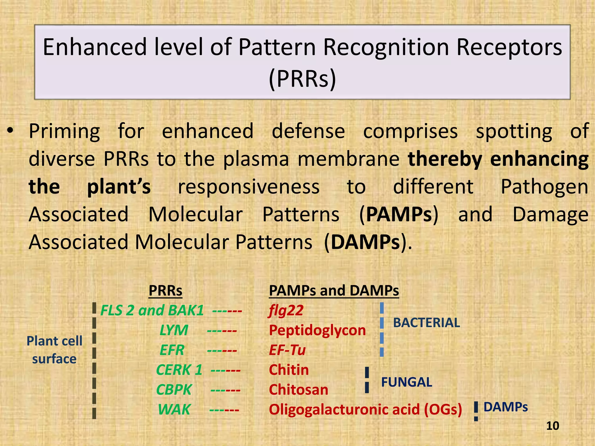 • Priming for enhanced defense comprises spotting of
diverse PRRs to the plasma membrane thereby enhancing
the plant’s responsiveness to different Pathogen
Associated Molecular Patterns (PAMPs) and Damage
Associated Molecular Patterns (DAMPs).
10
Enhanced level of Pattern Recognition Receptors
(PRRs)
PAMPs and DAMPs
flg22
Peptidoglycon
EF-Tu
Chitin
Chitosan
Oligogalacturonic acid (OGs)
PRRs
FLS 2 and BAK1 ------
LYM ------
EFR ------
CERK 1 ------
CBPK ------
WAK ------
BACTERIAL
FUNGAL
DAMPs
Plant cell
surface
 