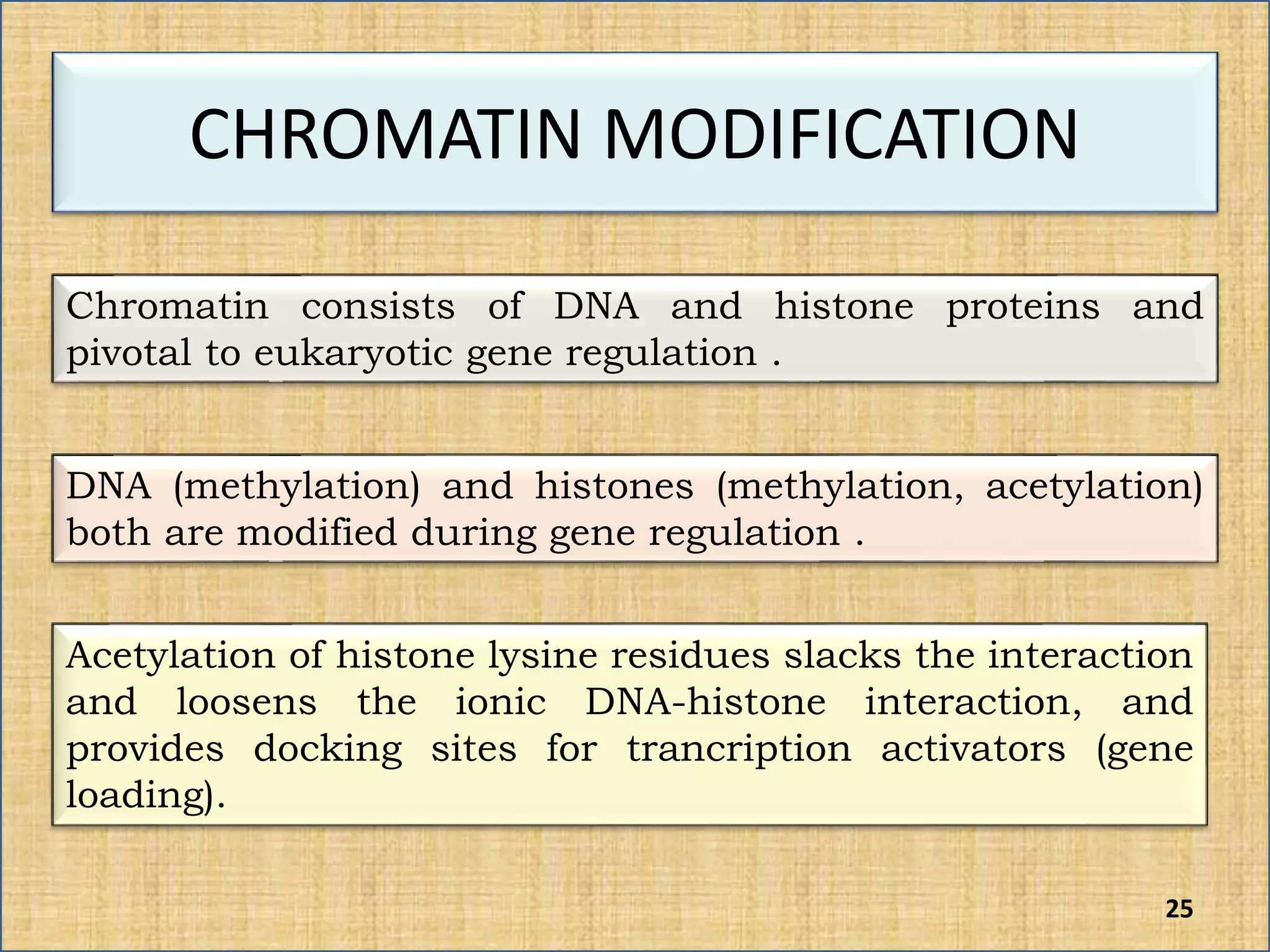 CHROMATIN MODIFICATION
Chromatin consists of DNA and histone proteins and
pivotal to eukaryotic gene regulation .
DNA (methylation) and histones (methylation, acetylation)
both are modified during gene regulation .
Acetylation of histone lysine residues slacks the interaction
and loosens the ionic DNA-histone interaction, and
provides docking sites for trancription activators (gene
loading).
25
 