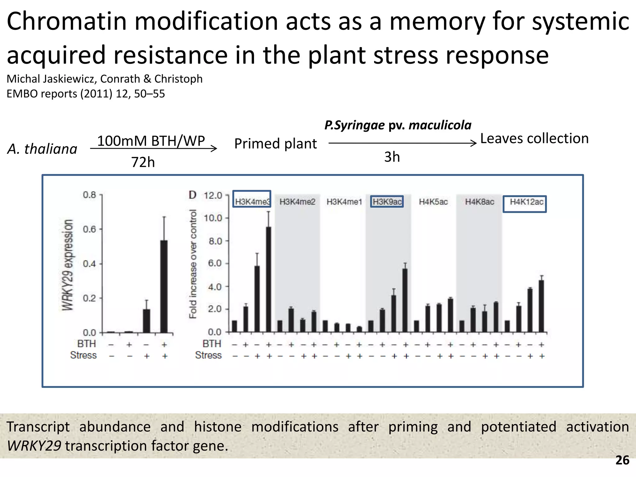 Transcript abundance and histone modifications after priming and potentiated activation
WRKY29 transcription factor gene.
A. thaliana 100mM BTH/WP
72h
Primed plant Leaves collection
P.Syringae pv. maculicola
3h
26
Chromatin modification acts as a memory for systemic
acquired resistance in the plant stress response
Michal Jaskiewicz, Conrath & Christoph
EMBO reports (2011) 12, 50–55
 