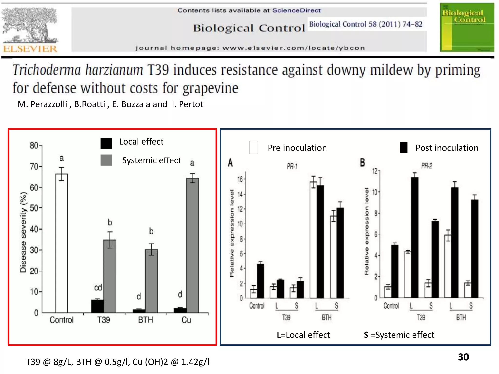 M. Perazzolli , B.Roatti , E. Bozza a and I. Pertot
T39 @ 8g/L, BTH @ 0.5g/l, Cu (OH)2 @ 1.42g/l 30
Local effect
Systemic effect
Post inoculationPre inoculation
L=Local effect S =Systemic effect
 