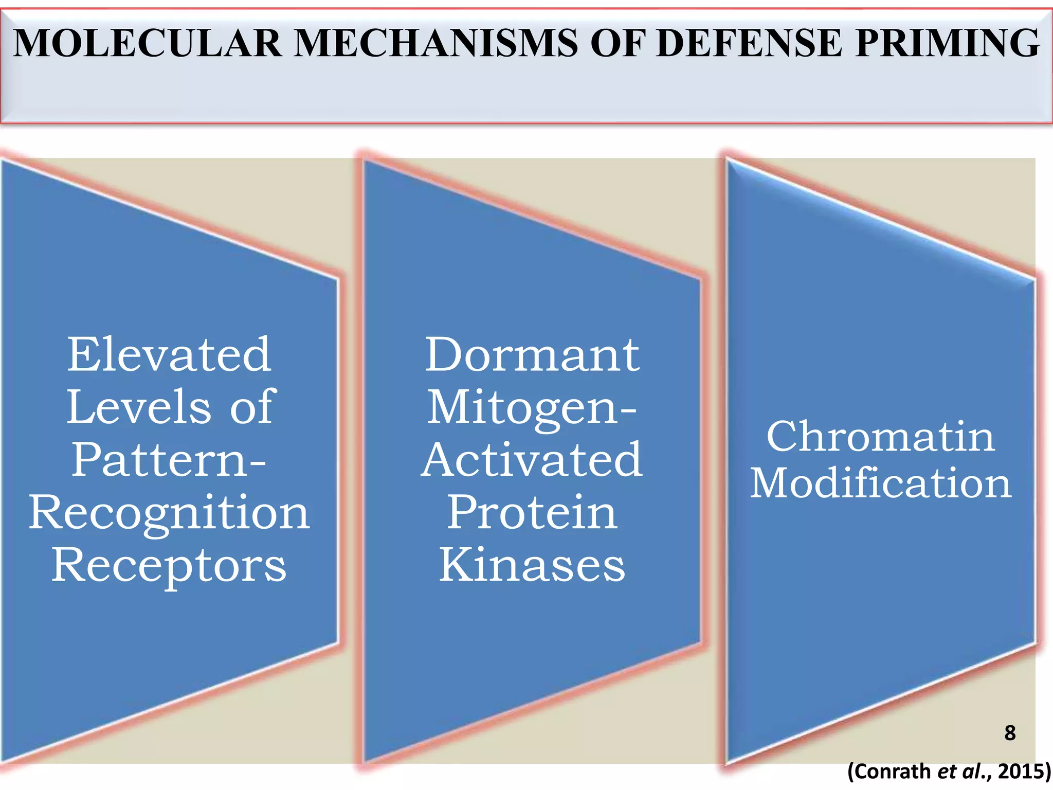MOLECULAR MECHANISMS OF DEFENSE PRIMING
Elevated
Levels of
Pattern-
Recognition
Receptors
Dormant
Mitogen-
Activated
Protein
Kinases
Chromatin
Modification
8
(Conrath et al., 2015)
 