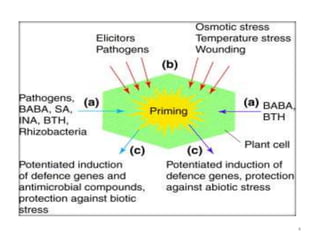 Priming for enhanced defence during Plant-Pathogen Intraction | PPTX