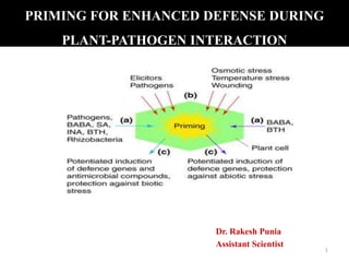 PRIMING FOR ENHANCED DEFENSE DURING
PLANT-PATHOGEN INTERACTION
Dr. Rakesh Punia
Assistant Scientist
1
 