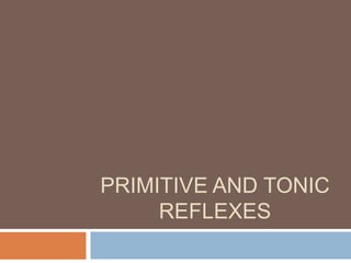 Primitive And Tonic Reflexes