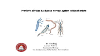 Primitive, diffused & advance nervous system in Non chordate
Dr. Sonia Bajaj
Assistant Professor
Department of Zoology
Shri Shankaracharya Mahavidyalaya ,Junwani ,Bhilai
 
