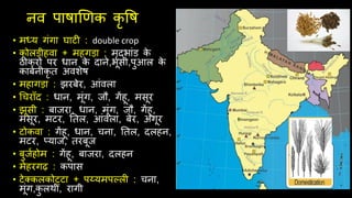 नव पाषाणणक कृ वष
• मध्य गंगा घाटी : double crop
• कोलडीहवा + महगड़ा : मृदभांड क
े
ठीकरों पर धान क
े दाने,भूिी,पुआल क
े
काबथनीकृ ि अवशेष
• महागड़ा : झरबेर, आंवला
• चचराूँद : धान, मूंग, जौ, गेंहू, मिूर
• झूिी : बाजरा, धान, मूंग, जौ, गेंहू,
मिूर, मटर, तिल, आंवला, बेर, अंगूर
• टोकवा : गेंहू, धान, चना, तिल, दलहन,
मटर, तयाज, िरबूज
• बुजथहोम : गेंहू, बाजरा, दलहन
• मेहरगढ़ : कपाि
• टेक्कलकोट्टा + पय्यमपल्ली : चना,
मूंग,क
ु लर्ी, रागी
 