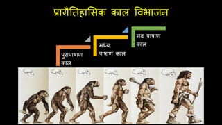 प्रागैतिहासिक काल ववभाजन
पुरापाषाण
काल
मध्य
पाषाण काल
नव पाषाण
काल
 