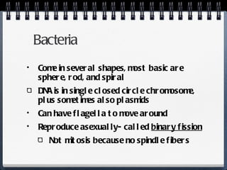 Bacteria Come in several shapes, most basic are sphere, rod, and spiral DNA is in single closed circle chromosome, plus sometimes also plasmids Can have flagella to move around Reproduce asexually- called  binary fission Not mitosis because no spindle fibers 
