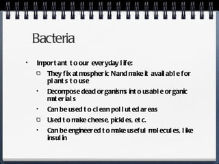 Bacteria Important to our everyday life: They fix atmospheric N and make it available for plants to use Decompose dead organisms into usable organic materials Can be used to clean polluted areas Used to make cheese, pickles, etc. Can be engineered to make useful molecules, like insulin 