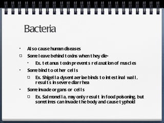 Bacteria Also cause human diseases Some leave behind toxins when they die- Ex. tetanus toxin prevents relaxation of muscles Some bind to other cells Ex. Shigella dysentaeriae binds to intestinal wall, results in severe diarrhea Some invade organs or cells Ex. Salmonella, may only result in food poisoning, but sometimes can invade the body and cause typhoid 
