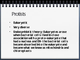 Protists Eukaryotic Very diverse Endosymbiotic theory: Eukaryotes arose when bacterial cells lived in close association with a proto-eukaryote that had a nucleus and ER- the bacterial cells became absorbed into the eukaryote and became what we know as mitochondria and chloroplasts 