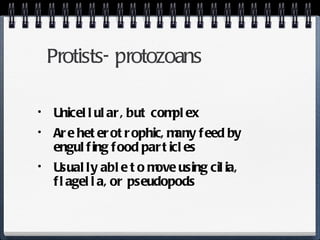 Protists- protozoans Unicellular, but complex Are heterotrophic, many feed by engulfing food particles Usually able to move using cilia, flagella, or pseudopods 