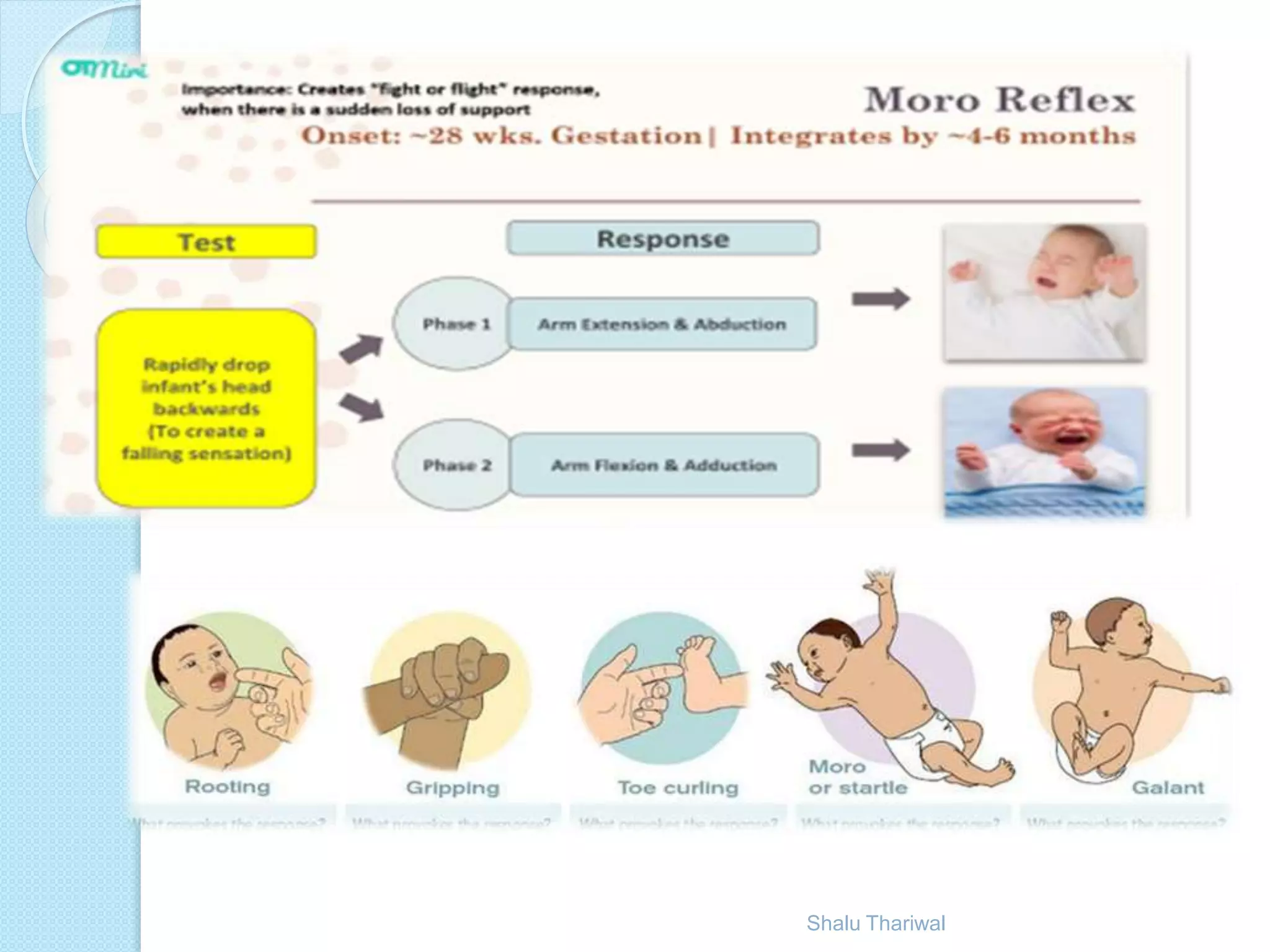 Primitive reflexes | PPT