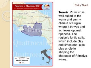 Ricky Thant
Terroir: Primitivo is
well-suited to the
warm and sunny
climate of Puglia,
where it thrives and
achieves optimal
ripeness. The
region's fertile soils,
which include clay
and limestone, also
play a role in
shaping the
character of Primitivo
wines.
 