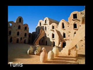 Tunis