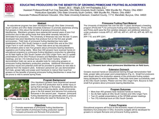 EDUCATING PRODUCERS ON THE BENEFITS OF GROWING PRIMOCANE FRUITING BLACKBERRIES Brown*, M.V. 1 ,  Wright, S.R. 2  and  Prochaska, S.C. 3 1 Assistant Professor/Small Fruit Crop Specialist, Ohio State University South Centers, 1864 Shyville Rd., Piketon, Ohio 45661 2 Horticulture Specialist, Ohio State University South Centers, 1864 Shyville Rd., Piketon, Ohio 45661 3 Associate Professor/Extension Educator, Ohio State University Extension, Crawford County, 117 E. Mansfield, Bucyrus, Ohio  44820   Abstract An educational program has been developed through Ohio State University South Centers and Ohio State University Extension to promote awareness among fruit growers in Ohio about the benefits of growing primocane fruiting blackberries.  Blackberry growers have experienced several years of poor fruit production due to late spring frosts that have either severely reduced or eliminated fruit production.  The University of Arkansas has over the last 13 years developed new erect blackberries that produce fruit on the first year growth (primocanes).  Field trials of primocane fruiting blackberries have been established at the OSU South Centers in south central Ohio and at the OSU Unger Farm in north central Ohio.  These trials serve as key educational demonstration plots to train fruit growers about primocane bearing blackberry vegetative and fruiting habits.  More than 400 growers have received hands-on educational programs on primocane fruiting blackberry production by attending six (6) field nights at OSU South Centers and OSU Unger Farm, two (2) update presentations at the Ohio Produce Growers and Marketers Association annual meetings, and ten (10) individual tours at OSU South Centers.  Field demonstration trials can serve as valuable tools for instructing growers on primocane fruiting blackberry production practices.  Additional information on production inputs and potential profit will be provided to growers as new data is gathered from the research plots.  Extension personnel can use demonstration fruit trials, grower talks and power point handouts to instruct their local fruit growers on the benefits of growing primocane fruiting blackberries in areas that are prone to mild to severe spring frosts. Program Background Ohio blackberry growers have experienced several years of poor fruit production due to winter injury or spring frost damage on floricanes.  Blackberries are biennial cane producing plants, where primocanes grow in the first season and become fruit producing floricanes in the second year.  However, primocane fruiting blackberries are genetically able to produce fruit, eliminating the need for floricanes (Fig. 1). ,[object Object],[object Object],[object Object],[object Object],Primocane Fruiting Plant Material The University of Arkansas has over the last 13 years developed a breeding program (Prime-Ark™) for primocane fruiting erect blackberries.  Prime-Jim® and Prime-Jan® were the first varieties released, and additional selections under evaluation include APF-27, APF-40, APF-41, APF-45, APF-46, APF-52, APF-77, APF-116, and APF-2241.  Extension Outreach  Growers received hands-on educational training through demonstration field trials, grower talks and power point presentations (Fig. 2).  Small fruit producers were taught about the production aspects of the primocane fruiting system being developed for erect blackberries.  Field trials have been successfully used at the OSU South Centers, Piketon and the OSU Unger Farm, Bucyrus to train small fruit growers about primocane bearing blackberries.  Future Programs Educational programs will focus on the economic impact of primocane blackberry fruit production in Ohio. Economic budgets will be developed for growers to compare floricane and primocane fruiting systems.  ,[object Object],[object Object],[object Object],[object Object],[object Object],Fig. 1 ‘Prime-Jim ® ,’ U of A.   Fig. 2 Growers learn about primocane blackberries on field tours. 