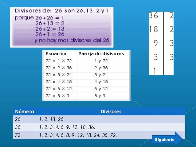 Cuáles Son Los Divisores De 28