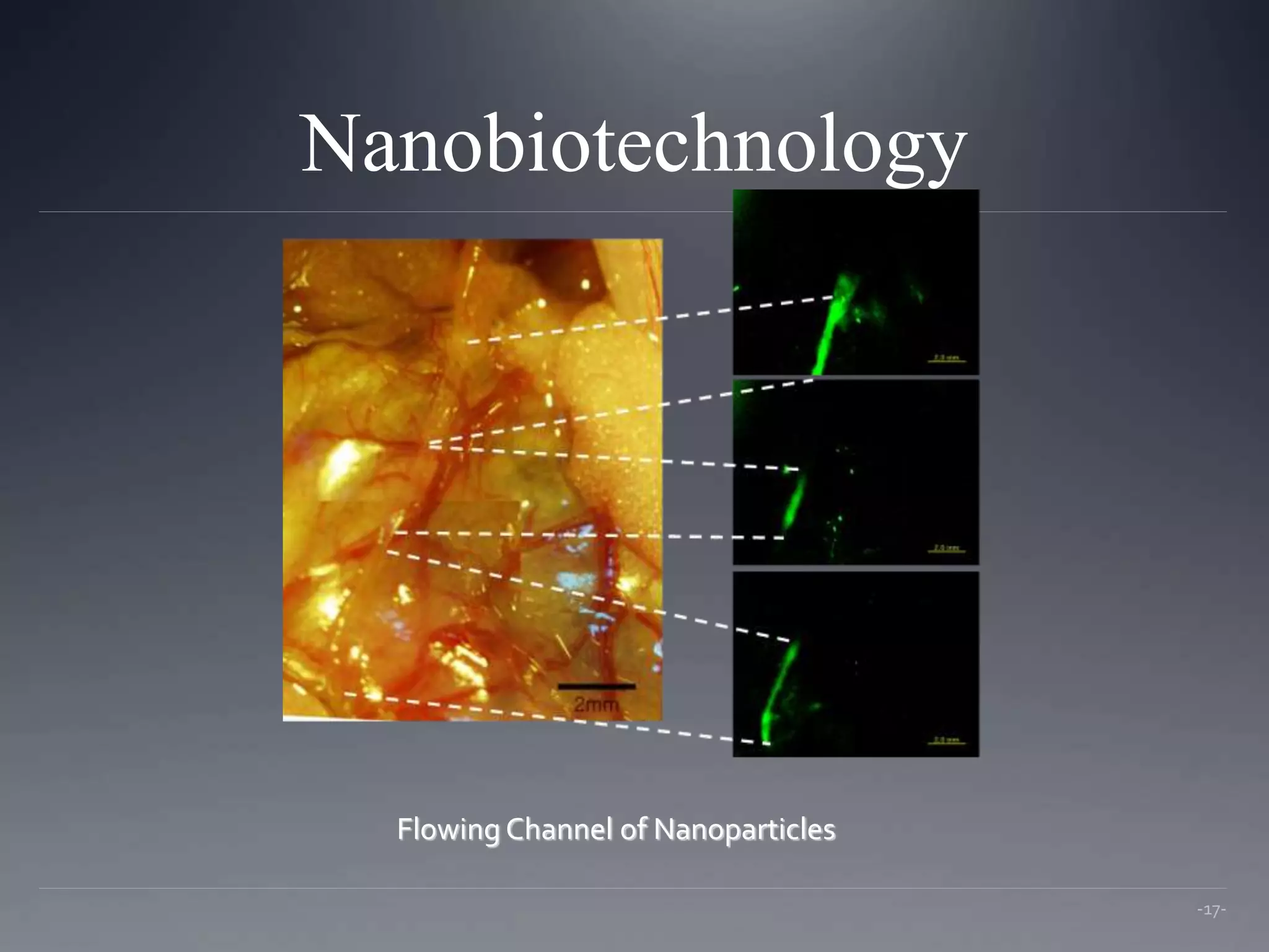 Nanobiotechnology
-17-
Flowing Channel of Nanoparticles
 