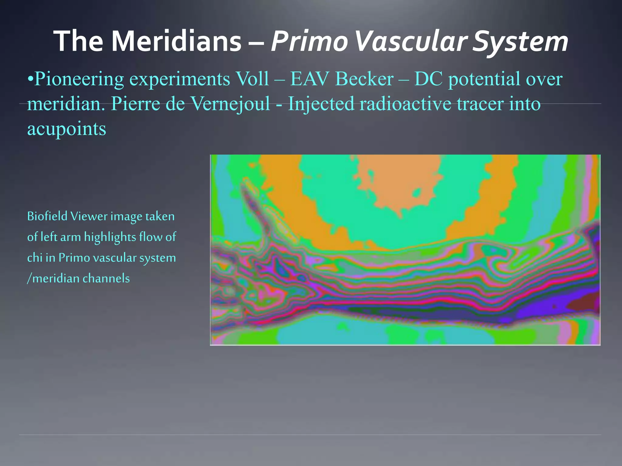 The Meridians – PrimoVascular System
Biofield Viewerimage taken
ofleftarmhighlights flowof
chi in Primovascularsystem
/meridianchannels
•Pioneering experiments Voll – EAV Becker – DC potential over
meridian. Pierre de Vernejoul - Injected radioactive tracer into
acupoints
 