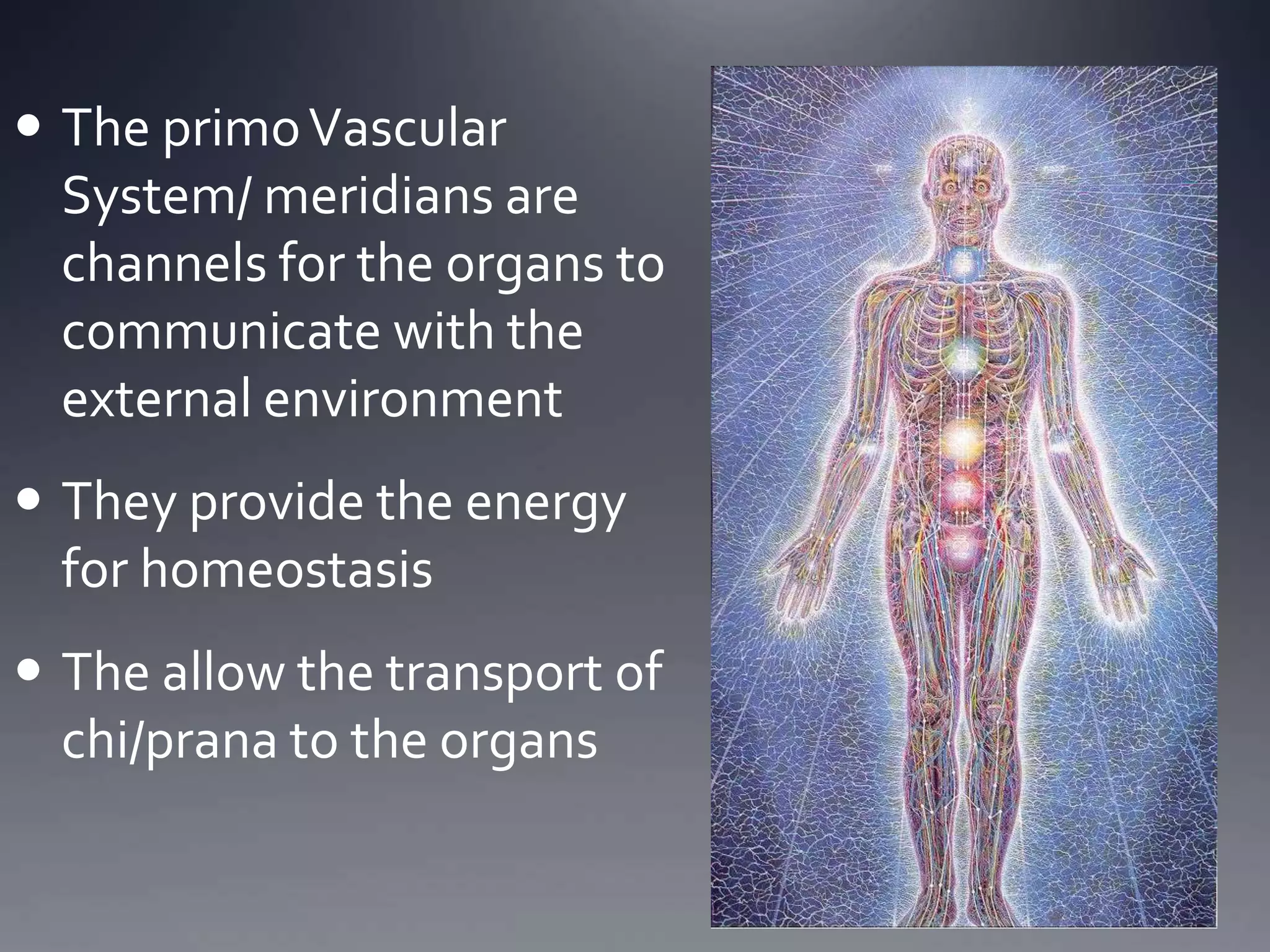  The primoVascular
System/ meridians are
channels for the organs to
communicate with the
external environment
 They provide the energy
for homeostasis
 The allow the transport of
chi/prana to the organs
 