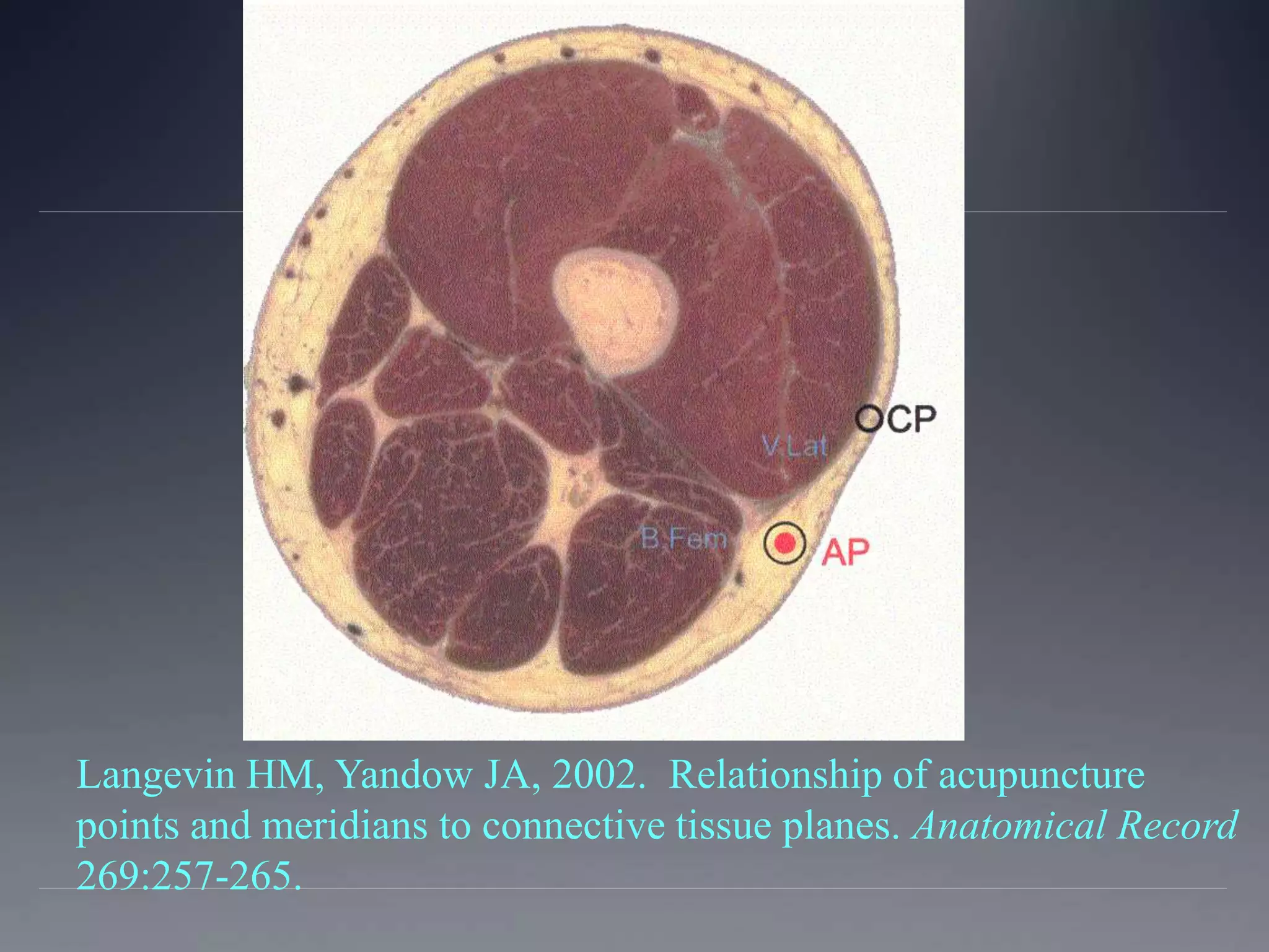 Langevin HM, Yandow JA, 2002. Relationship of acupuncture
points and meridians to connective tissue planes. Anatomical Record
269:257-265.
 