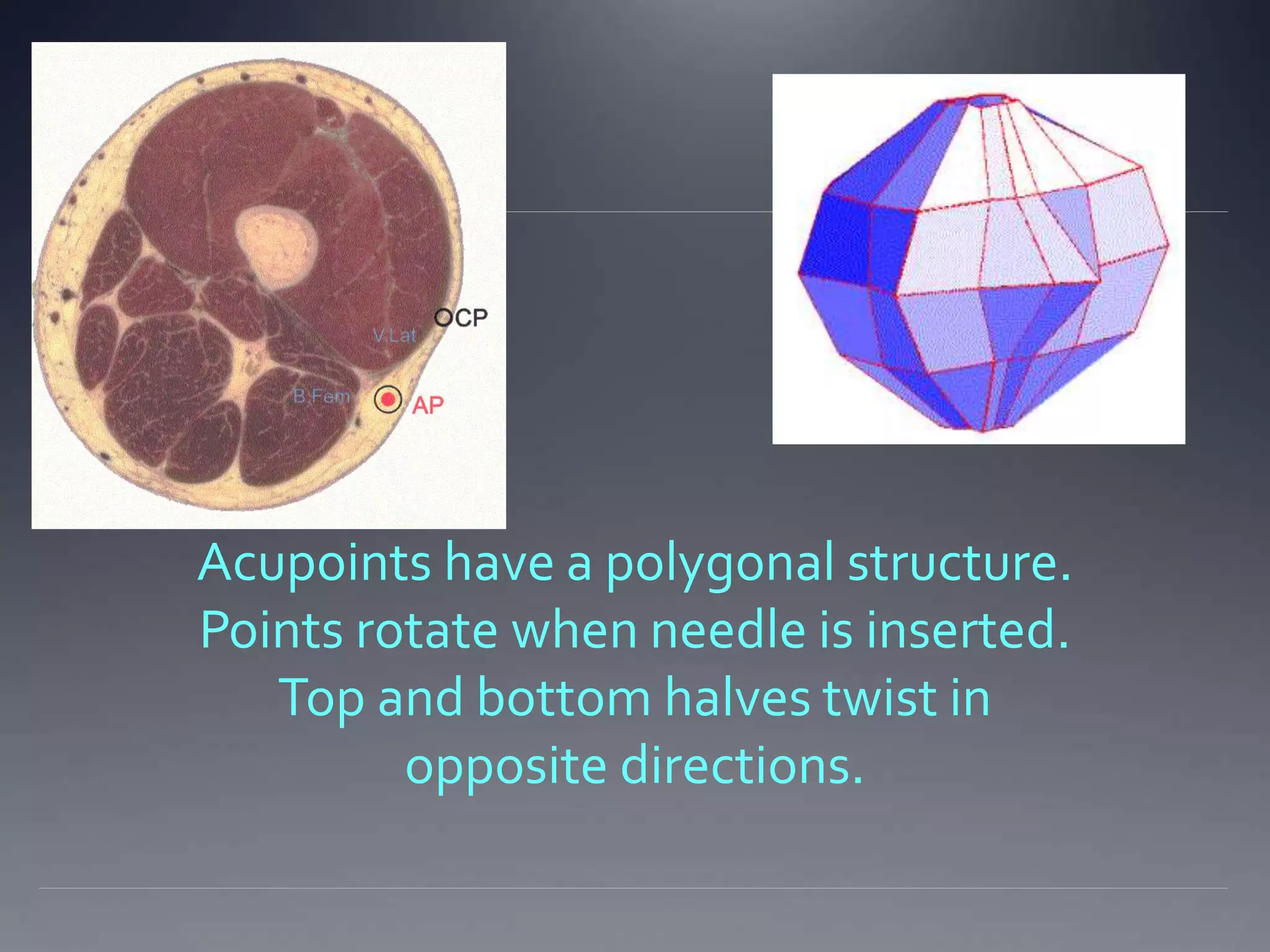 Acupoints have a polygonal structure.
Points rotate when needle is inserted.
Top and bottom halves twist in
opposite directions.
 