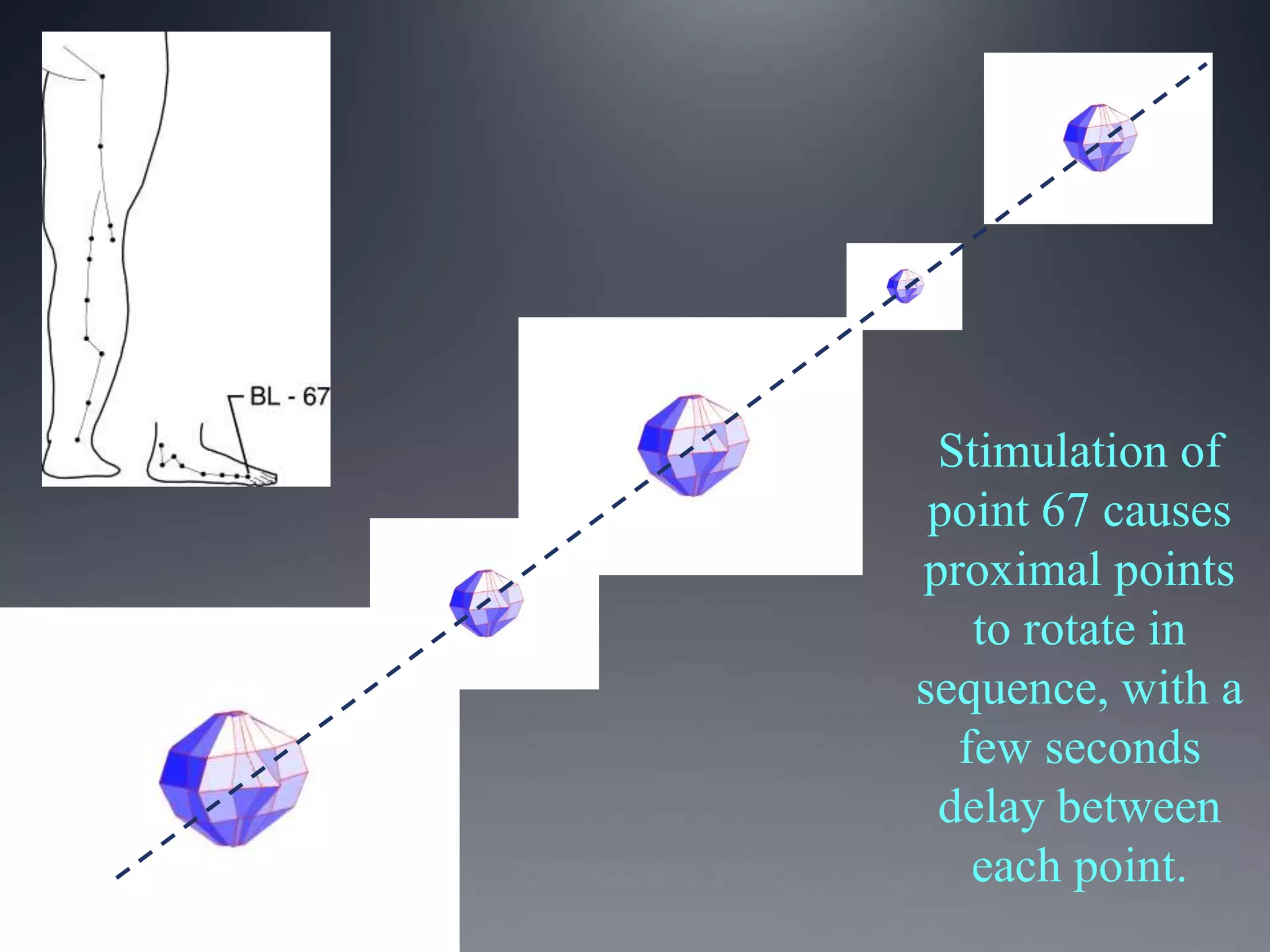 Stimulation of
point 67 causes
proximal points
to rotate in
sequence, with a
few seconds
delay between
each point.
 
