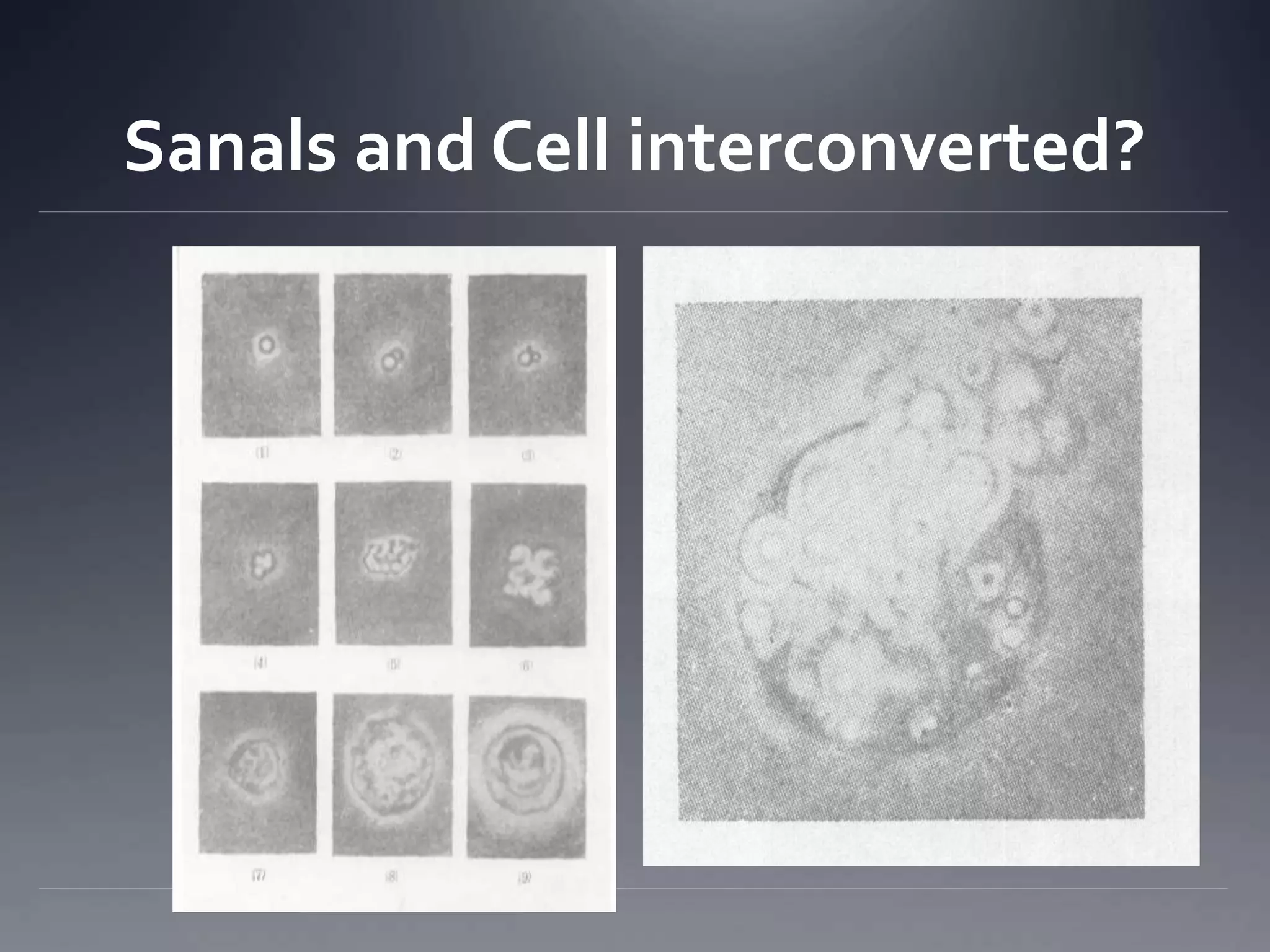 Sanals and Cell interconverted?
 