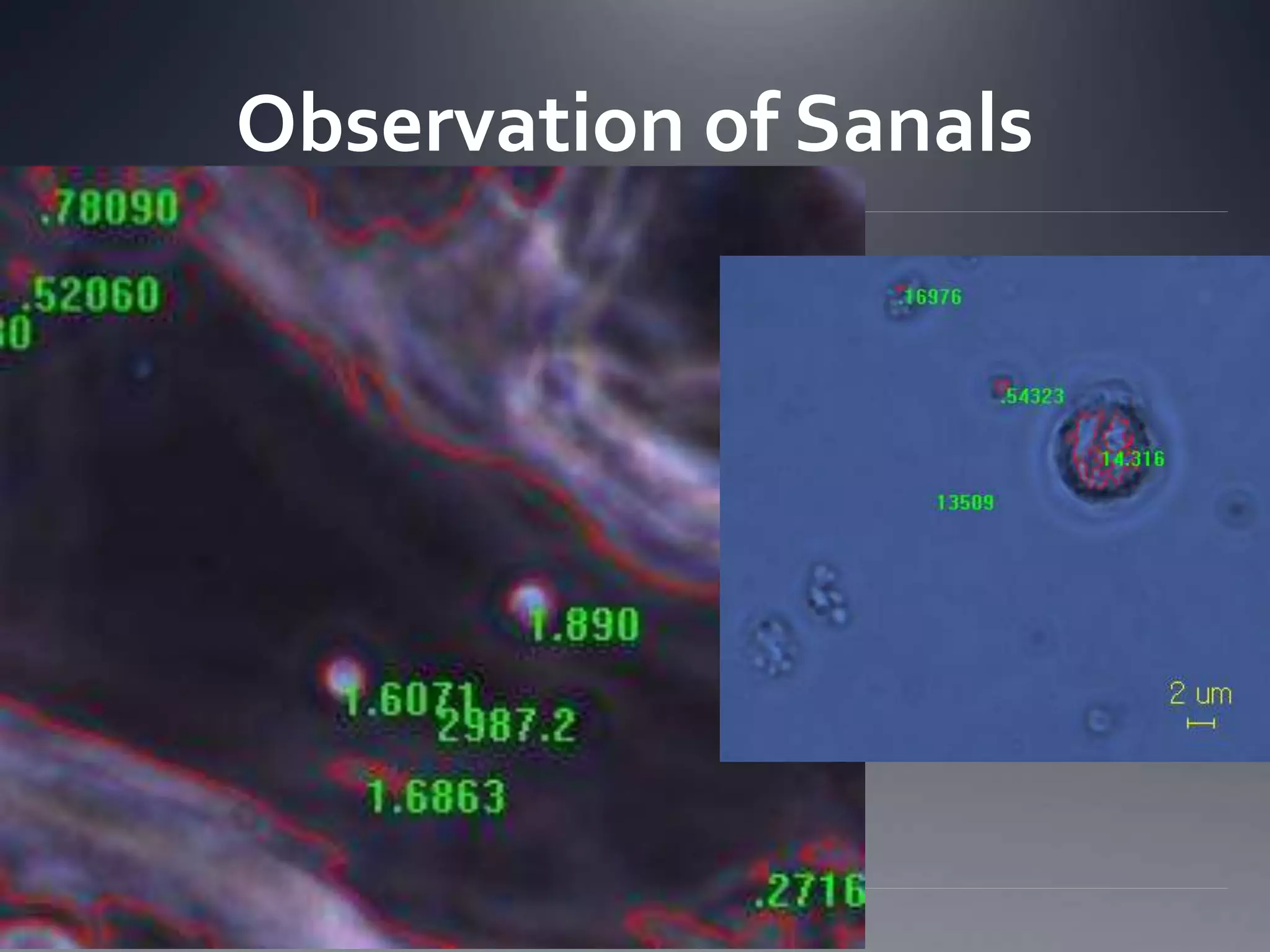Observation of Sanals
 