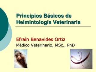 Principios Básicos de
Helmintología Veterinaria


Efraín Benavides Ortiz
Médico Veterinario, MSc., PhD
 