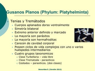 Gusanos Planos (Phylum: Platyhelminta)

   Tenias y Tremátodos
       Cuerpos aplanados dorso ventralmente
       Simet...