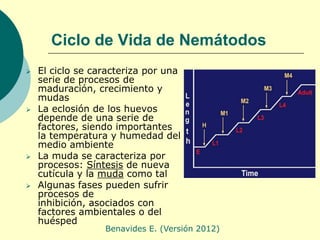 Ciclo de Vida de Nemátodos
   El ciclo se caracteriza por una
    serie de procesos de
    maduración, crecimiento y
    ...