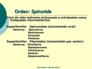 Orden: Spirurida
Ciclo de vida indirecto incluyendo a artrópodos como
  huéspedes intermediarios:

Superfamilia:    Spirur...