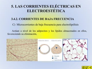 5. LAS CORRIENTES ELÉCTRICAS EN
ELECTROESTÉTICA
3.4.2. CORRIENTES DE BAJA FRECUENCIA
C) Microcorrientes de baja frecuencia...