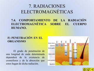 7. RADIACIONES
ELECTROMAGNÉTICAS
7.4. COMPORTAMIENTO DE LA RADIACIÓN
ELECTROMAGNÉTICA SOBRE EL CUERPO
HUMANO.
F) PENETRACI...