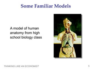 THINKING LIKE AN ECONOMIST 5
Some Familiar Models
A model of human
anatomy from high
school biology class
 