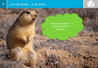 …и я не вижу… а он есть8
Элементы PRINCE2®
можно встретить
повсюду…
 