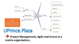 UPrince.Plaza
 Project Management, Agile and Scrum in a
matrix organization..
 