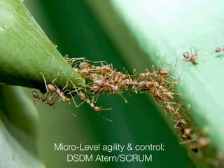 PRINCE2 + AGILE = SUCCESS