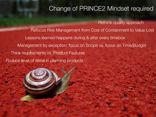 PRINCE2 + AGILE = SUCCESS