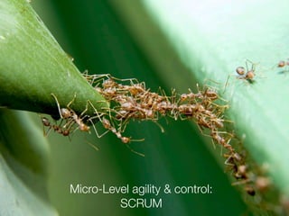 Integrating SCRUM with classical Project Management