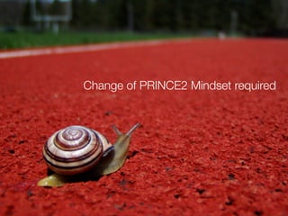 Integrating SCRUM with classical Project Management