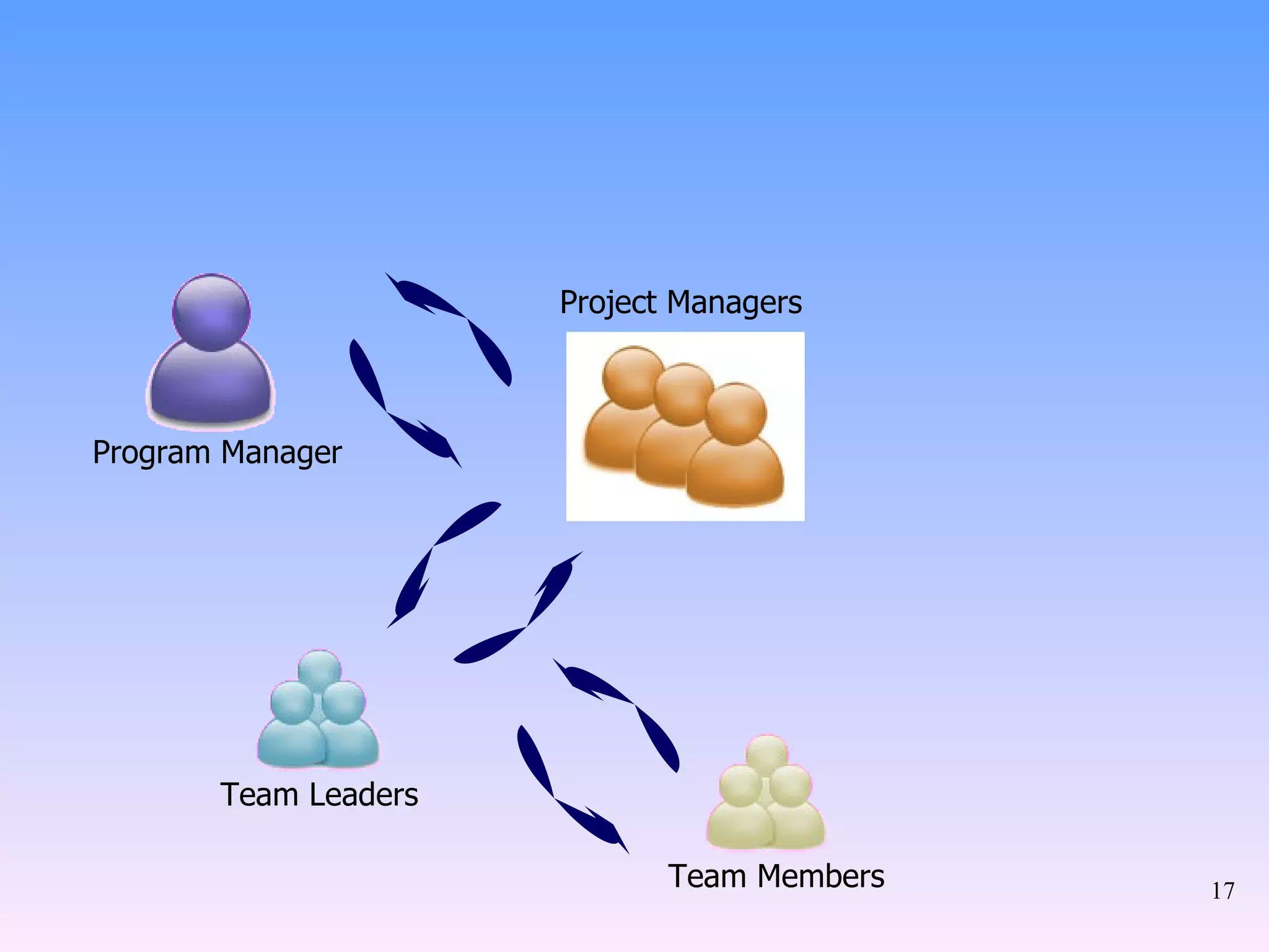 Program Manager Project Managers Team Members Team Leaders 