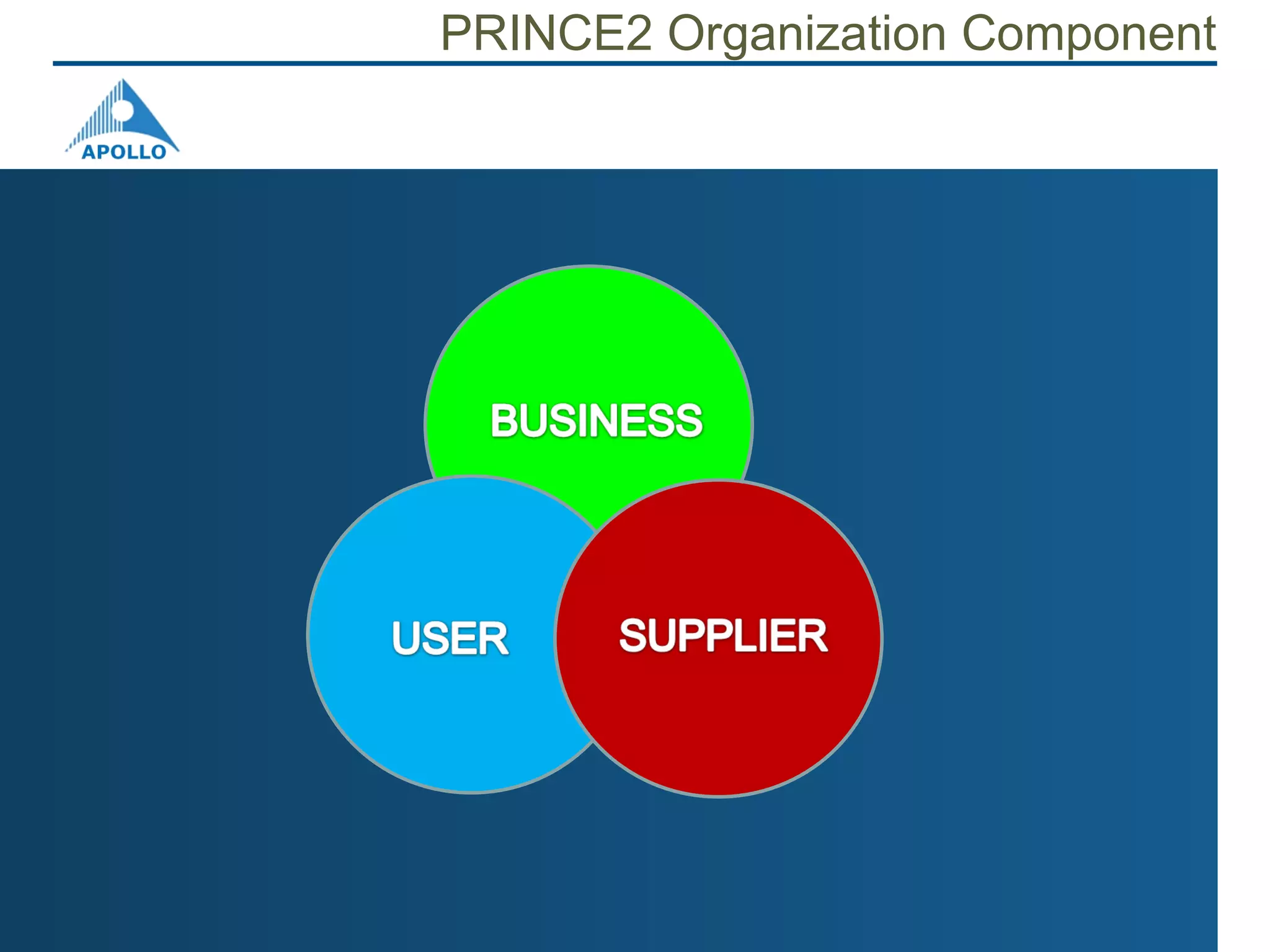 Prince2 Project Management With Web 2.0