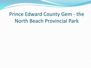 Prince Edward County Gem - the
  North Beach Provincial Park
 