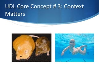 UDL Core Concept # 3: Context 
Matters 
 