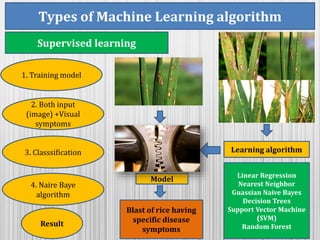 machine learning a a tool for disease detection and diagnosis | PPTX