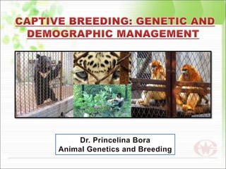 Captive Breeding: Genetic and Demographic Management