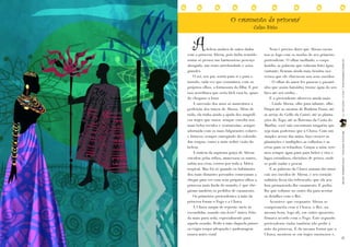 O casamento da princesa1


        A
                                               Celso Sisto


                 beleza andava de mãos dadas             Nem é preciso dizer que Abena encan-
     com a princesa Abena, pois tinha reunido         tou-se logo com os modos de seu primeiro
     numa só pessoa um harmonioso pescoço             pretendente. O olhar molhado, o corpo




                                                                                                     LEITURASCOMPARTILHADAS | ANO 9 | FASCÍCULO 19
     alongado, um rosto arredondado e seios           luzidio, as palavras que rolavam feito água
     grandes.                                         cantante, ficaram ainda mais bonitas nos
        O rei, seu pai, sorria para si e para o       versos que ele chuviscou nos seus ouvidos:
     mundo, cada vez que constatava, com os              - O olhar do amor fez passear o passari-
     próprios olhos, a formosura da filha. E por      nho que assim baixinho, trouxe água do seu
     isso acreditava que seria fácil casá-la, quan-   bico até seu ninho...
     do chegasse a hora.                                 E o pretendente ofereceu ainda mais:
        A sucessão dos anos só aumentava a               - Linda Abena, olhe para adiante, olhe.
     perfeição dos traços de Abena. Além de           Daqui até as savanas de Burkina Fasso, até
     tudo, ela tinha ainda a ajuda dos magnífi-       as areias do Golfo da Guiné, até as planta-
     cos trajes que usava: sempre envolta nos         ções do Togo, até as florestas da Costa do
     mais belos tecidos e vestimentas; sempre         Marfim, você não encontrará ninguém que
     adornada com os mais fulgurantes colares         seja mais poderoso que a Chuva. Com um




                                                                                                     PRINCESAS AFRICANAS | WWW.LEIABRASIL.ORG.BR
     e brincos; sempre emergindo do colorido          simples aceno das mãos, faço crescer as
     das roupas, como a mais nobre visão da           plantações e multiplico as colheitas e as
     beleza.                                          ervas para os rebanhos. Graças a mim, tere-
        A notícia da suprema graça de Abena           mos sempre água pura para beber e rios e
     circulou pelas tribos, atravessou os mares,      lagos cristalinos, cheinhos de peixes, onde
     subiu aos céus, correu por toda a África         se pode nadar e pescar.
     tropical. Mas foi só quando os habitantes           E as palavras da Chuva soaram tão musi-
     dos mais distantes povoados começaram a          cais aos ouvidos de Abena, e seu coração
     chegar para ver com seus próprios olhos a        solitário ficou tão refrescado, que ela aca-
     princesa mais linda do mundo, é que che-         bou prometendo-lhe casamento. E pediu-
     garam também os pedidos de casamento.            lhe que voltasse no outro dia para acertar
        Os primeiros pretendentes à mão da            os detalhes com o Rei.
     princesa foram o Fogo e a Chuva.                    Acontece que enquanto Abena se
        A Chuva surgiu de repente, meio às            comprometia com a Chuva, o Rei, na
     escondidas, usando um kente2 único, feito        mesma hora, logo ali, em outro aposento,
     da mais pura seda, especialmente para            firmava acordo com o Fogo. Este segundo
     aquela ocasião. Pedir a mão daquela prince-      pretendente tinha também ido pedir a
     sa exigia roupa adequada e padronagem            mão da princesa. E da mesma forma que a

36                                                                                                   37
     nunca antes vista!                               Chuva, mostrou-se em trajes suntuosos e,
 